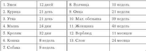 Читать книгу Педология подростка. Психологическое и социальное развитие ...