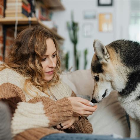 Italy Pet Travel Requirements for US Movers