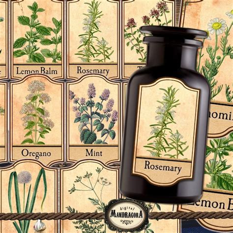 Apothecary Labels - Etsy