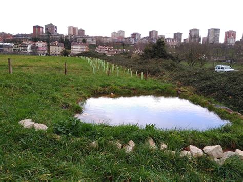 Charcas Y Jardines De Lluvia Santander Capital Natural