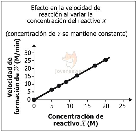 Una Estudiante Realiza Diferentes Ensayos Con El Objetivo De