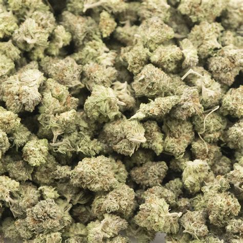 Astro Mints Aaa Popcorn Indica West Coast Releaf Online Dispensary