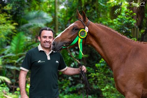 Bruno Ribeiro E Campeao Nacional Da Exposicao De Brasileiro De Hipismo