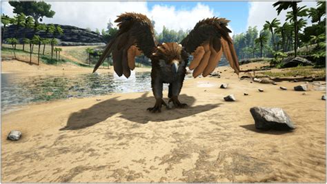 Ark Griffin Abilities Taming Food Saddle Breeding Drops