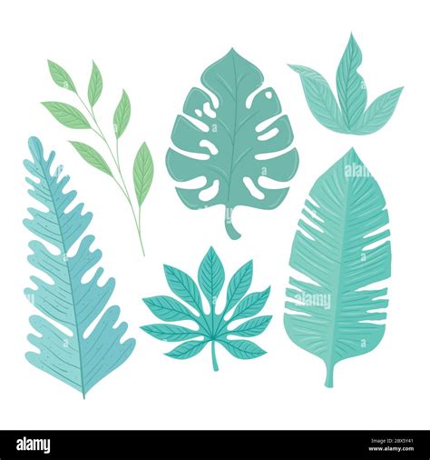 Tropical Leaves Collection On Pastel Color Stock Vector Image And Art Alamy