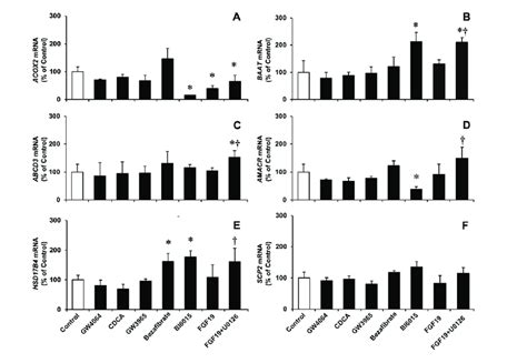 Relative MRNA Levels Determined By RT QPCR Of ACOX2 A BAAT B