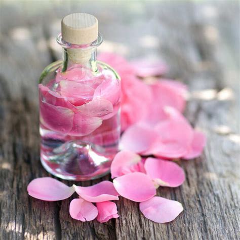 Rose Water Benefits Unique Ways To Use Rose Water For Skin