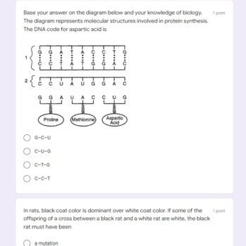 Living Environment Regents Review Quiz Topic Genetics Tpt