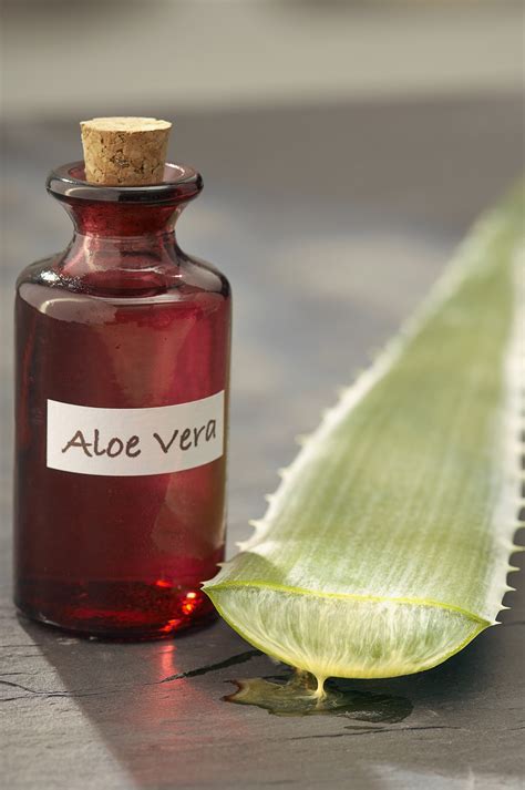 Народная медицина в качественных фотографиях. Часть 1