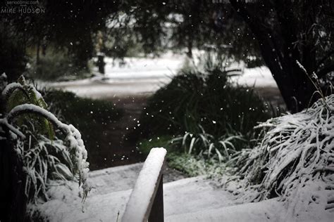 cold snap seriocomic