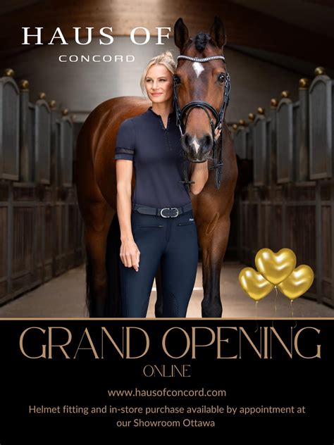 Everything you should know about the ross concord nc grand opening