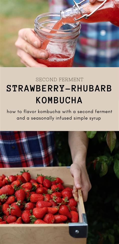 Delicious Strawberry Rhubarb Kombucha