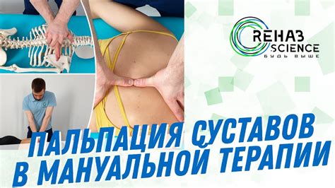 Пальпация суставов в мануальной терапии. - YouTube