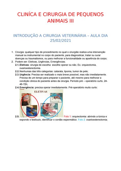 Cliníca E Cirurgia DE Pequenos Animais III 2 CLINÍCA E CIRURGIA DE