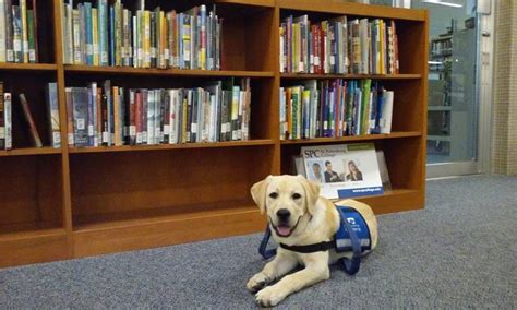 Clickbait headlines are important for journalism, and you’ll never ...