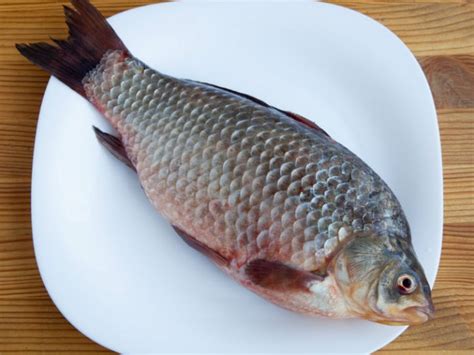 La Forma M S F Cil De Quitarle Escamas A Un Pescado Video El