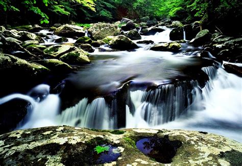 Fundo para pc Rio Natureza Stream Baixar Grátis