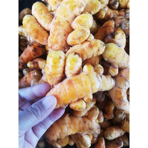 ready stock kunyit fresh kunyit hidup  kg shopee malaysia