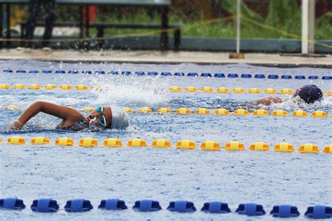 Putra Putri Prajurit Yonmarhanlan IV Raih Juara Pada Kejuaraan Renang