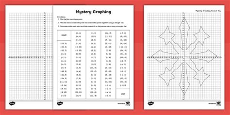 Snowflake Mystery Graphing Worksheet For 6th 8th Grade