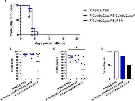 Frontiers Sex Differences In Immune Protection In Mice Conferred By