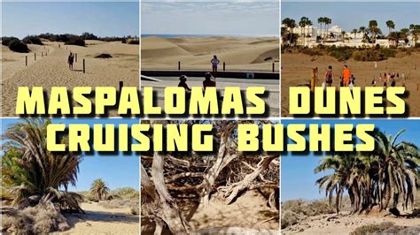 Playa Del Ingl S Cruising Dunes Close To The Maspalomas Gay Naturist Beach On The Gran Canaria