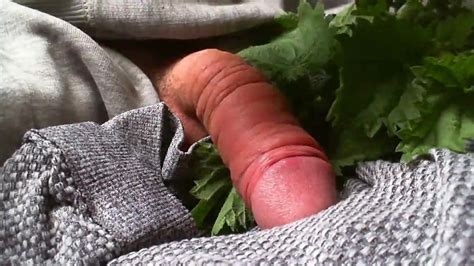 Lockdown Nettles On Cock Part Gay Bdsm Porn Xhamster