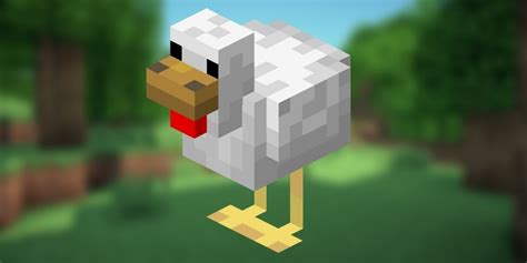 Chicken Minecraft