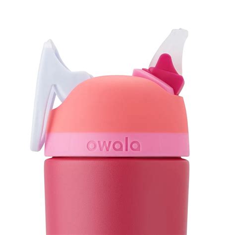 Owala Kids Flip Stainless Steel Water Bottle, 14 Ounce (2 Pack) - Pink ...