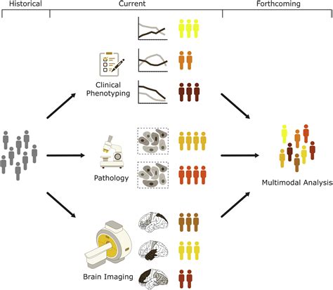 Supplemental Materials For Disentangling Heterogeneity In Alzheimers