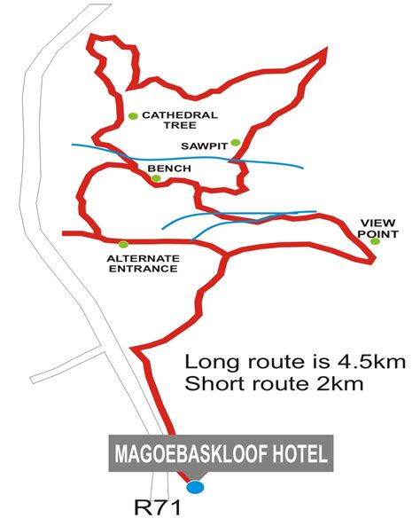 Swartbos Trail Magoebaskloof Tourism Association