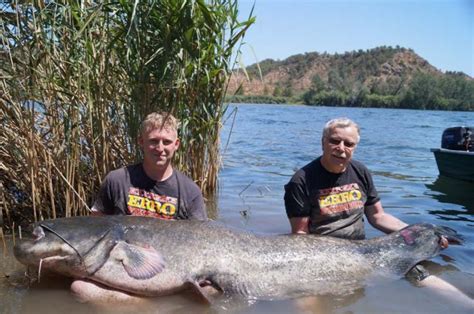 Angelurlaub Am Ebro Im Sommer Extreme Ebrofishing