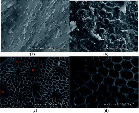 An Alternative Method To Enhance W O Emulsion Stability Using Modified