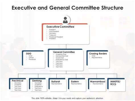 Executive And General Committee Structure Presentation Graphics