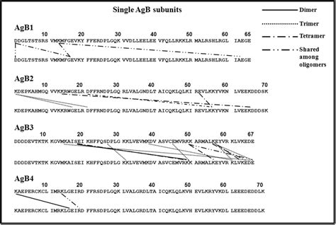 Interacting Residues From Mass Spectrometric Analysis Of Protein Bands Download Scientific