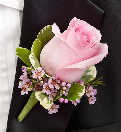 Pink Boutonniere From 1 800 FLOWERS 95342