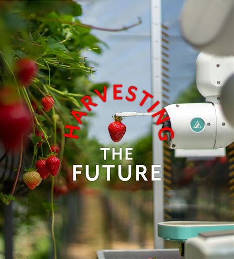 Harvesting the Future – Global