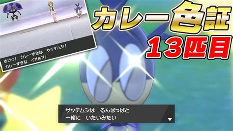 【カレー色証13匹目】カレー作ってたら色違いポケモン来て脳汁止まらない【ポケモン剣盾】 Youtube