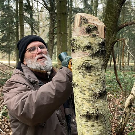 Daniel réalise des sculptures sur des arbres en forêt Neo