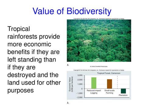 Ppt Conservation Biology Chapter 59 Powerpoint Presentation Free Download Id 40973