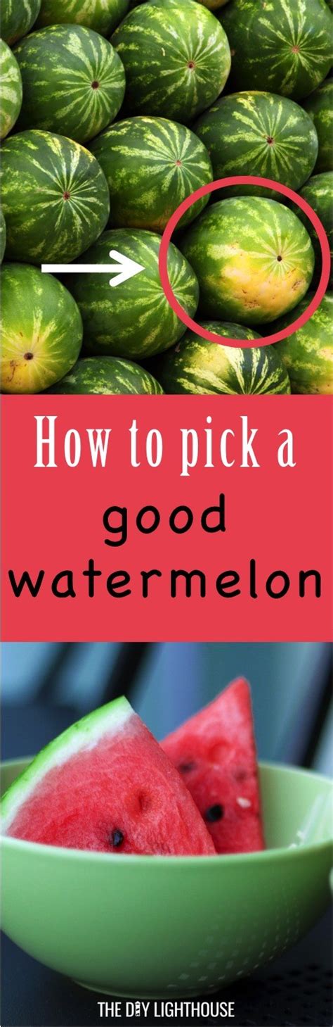 How To Pick Out A Good Watermelon The Diy Lighthouse