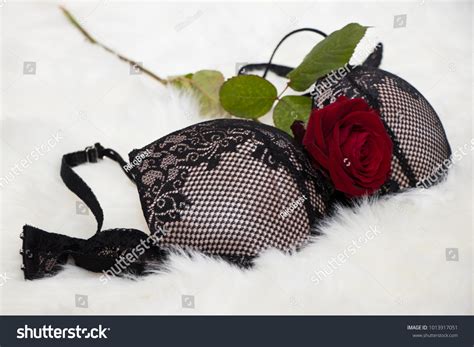 Sexy Black White Lingerie Red Rose Stock Photo Shutterstock
