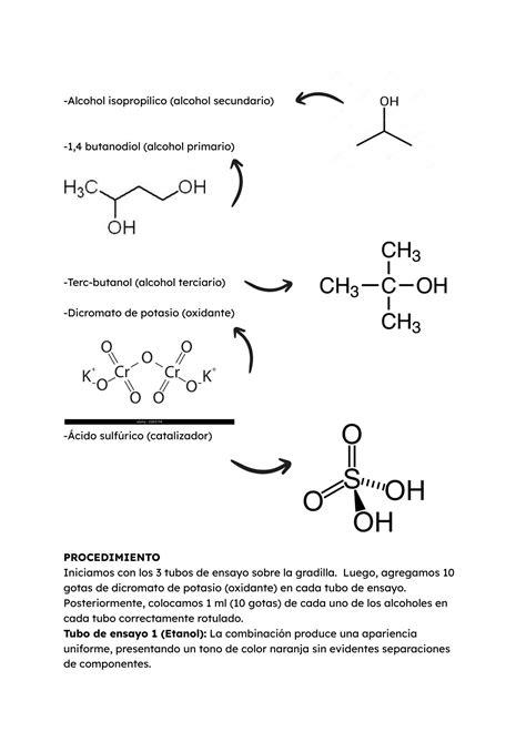 SOLUTION UNC Práctico de oxidación de alcoholes química orgánica