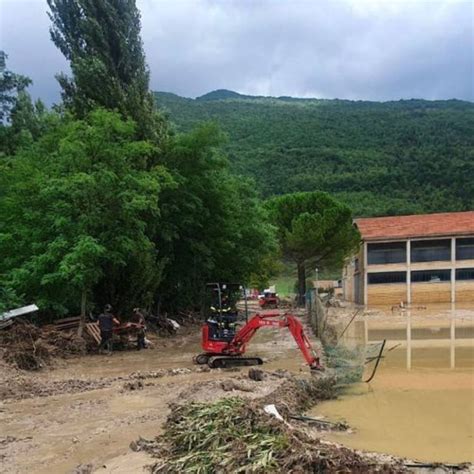 Marche L Alluvione Ha Provocato Danni Per Milioni Di Euro All Agricoltura