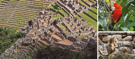 ADN Antiguo Revela Origen Diverso De Los Habitantes De Machu Picchu