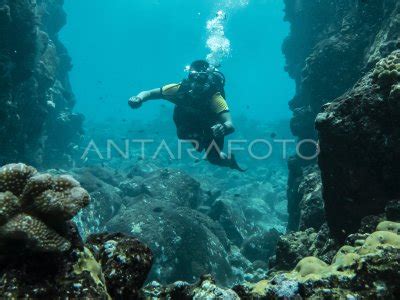 WISATA BAHARI PULAU SABANG ANTARA Foto