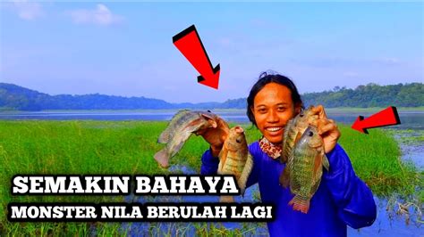 Bahaya Monster Nila Berulah Lagi Mancing Nyobok Terbaru Mancing