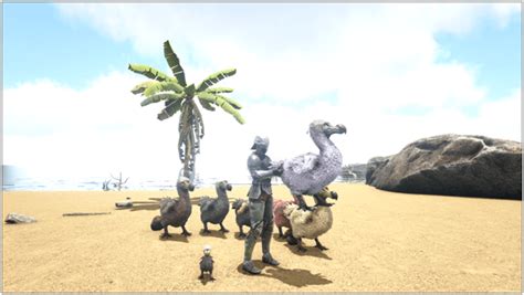 Ark Dodo (Abilities, Taming, Food, Saddle, Breeding, Drops & Location ...