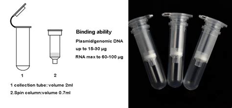 Plant Dna Extraction Spin Column Silica Membrane Type With Collection ...