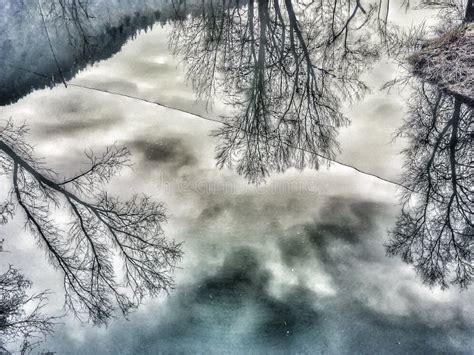 Shadows of the Lake Trees in Water Dream Stock Photo - Image of lake ...